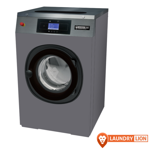 laundy-lion-news-item.png